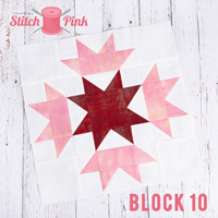 Stitch Pink Archive SM 10