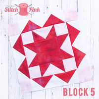 Stitch Pink Archive SM 5