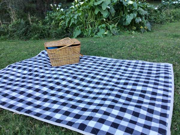 CT Unboxed 60" Wide Toweling - Picnic Roll-Up Flat