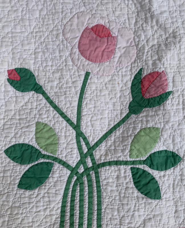 State Flower Applique Quilt and an exciting opportunity to help others!