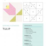 mbs-spring-flowers_tulip printer friendly