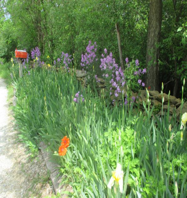 Barbara Brackman garden