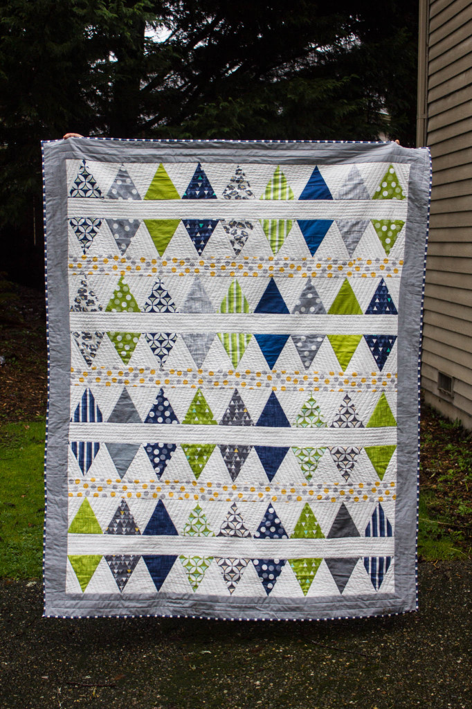 Shark Tooth Title Quilt-17
