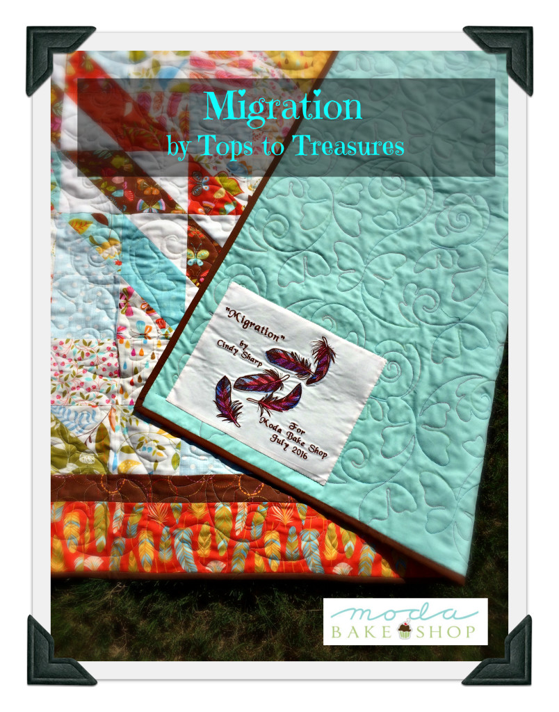 Migration Cover 2